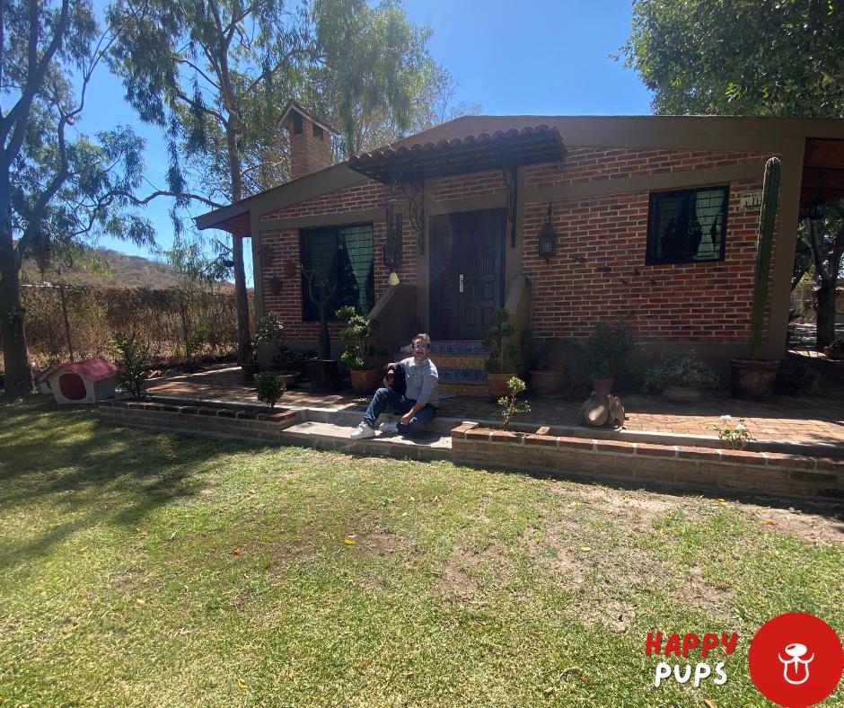 Adiestramiento canino profesional